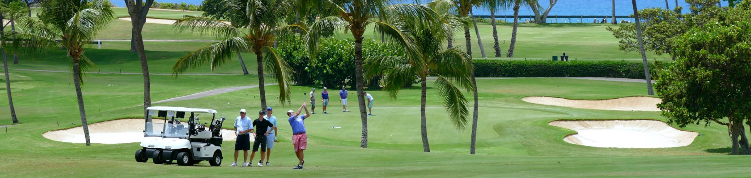 Golfers and a golf cart on the palm-lined fairways of the Royal Kaanapali Golf Course beside the resort